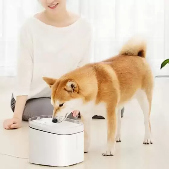 Order In Just $44.14 Creative Simple Pet Water Dispenser From Xiaomi Youpin At Joybuy Deal Page