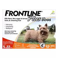 Take Additional 12% Off On Frontline Plus + With This Budgetpetcare Discount Voucher