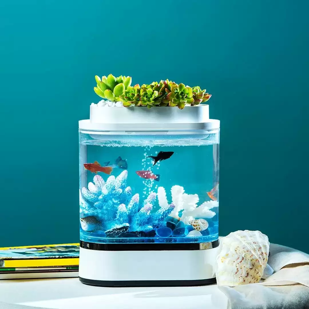 Order In Just $35.36 / €$49.85 Geometry Mini Fish Tank Usb Charging Self-cleaning Aquarium With 7 Colors Led Light For Home Decorations From Xiaomi Youpin With This Coupon At Banggood