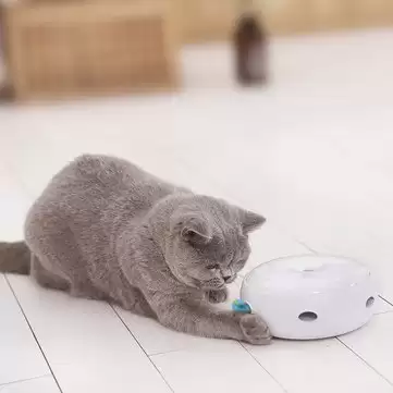 Order In Just $18.99 / €17.36 Homerun Smart Cat Toy Pet Toys Electric Cat Tease Stick Doughnut Turntable Automatic Turntable Cat Toy From Xiaomi Youpin With This Coupon At Banggood