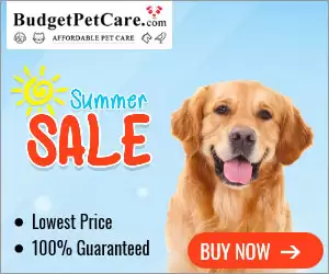 Get Extra 12% Off & Instant 10% Cashback With This Budgetpetcare Discount Voucher