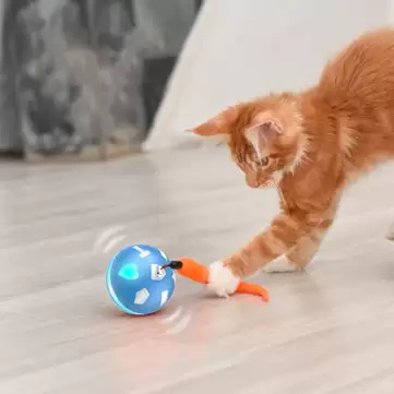 Order In Just $15.99 / €14.62 Bentopal Usb Charging Smart Ball Smarts Sensor Balls Pet Toys Colorful Light Balls For Cat & Dog With This Coupon At Banggood