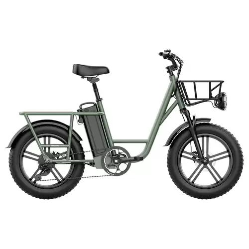 Pay Only $1459.99 For Fiido T1 Cargo Electric Bike 20*4.0 Inch Fat Tires 750w Power 50km/h Max Speed 48v 20ah Lithium Battery 150km Range Shock Absorber - Green With This Coupon Code At Geekbuying