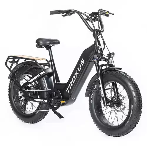 Order In Just $1649.99 Troxus Lynx Electric Bike 20*4.0 Inch Fat Tire 750w Bafang Brushless Motor 45km/h Speed 48v 20ah Samsung Battery Up To 62 Miles Range Shimano 8 Speed - Black With This Discount Coupon At Geekbuying