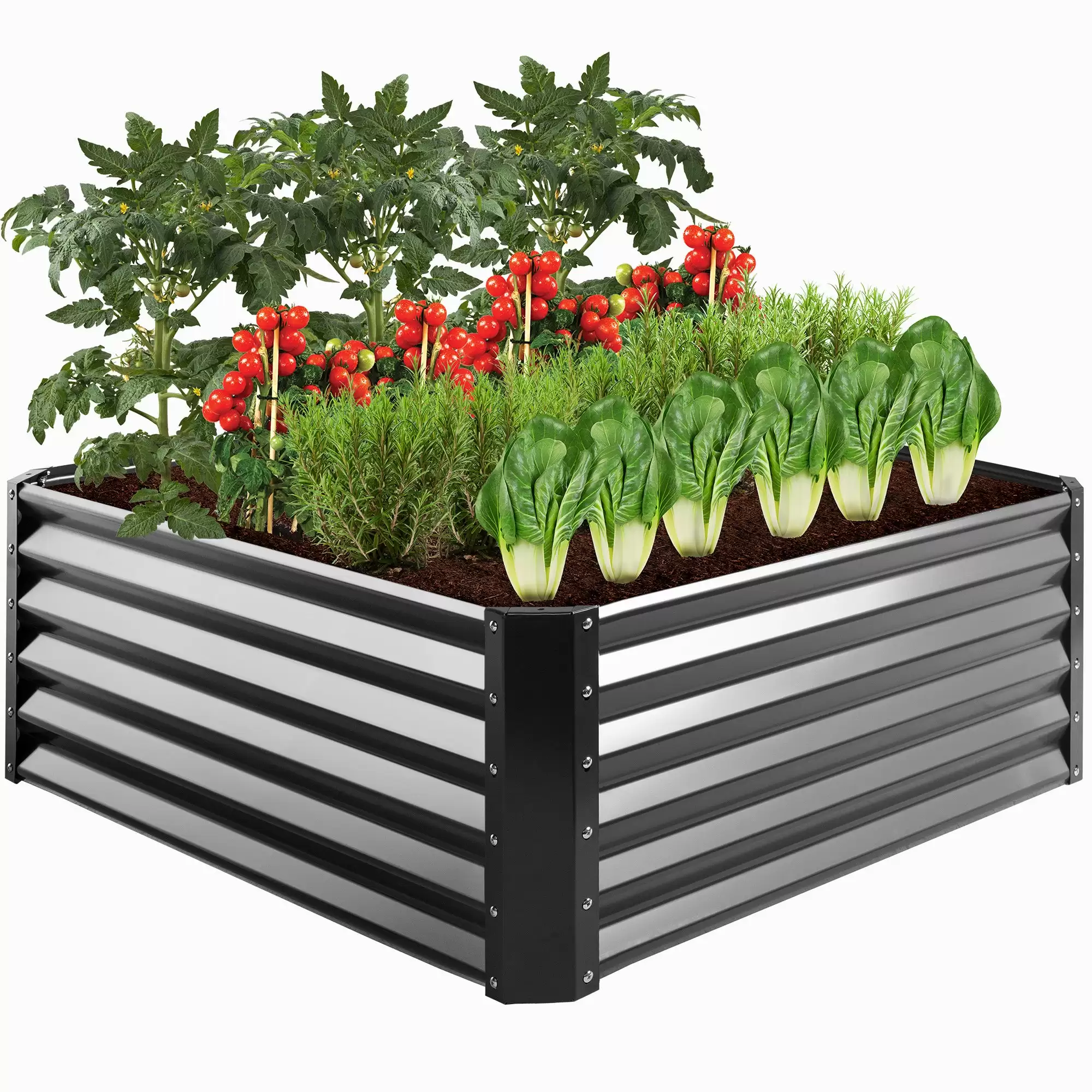 Order In Just $63.99 Outdoor Metal Raised Garden Bed For Vegetables, Flowers, Herbs - 4x4x1.5ft With This Bestchoiceproducts Discount Voucher
