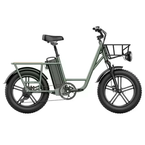 Pay Only $1549.99 For Fiido T1 Cargo Electric Bike 20*4.0 Inch Fat Tires 750w Power 50km/h Max Speed 48v 20ah Lithium Battery 150km Range Shock Absorber - Green With This Coupon Code At Geekbuying