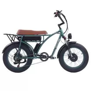 Order In Just €1409.00 Gogobest Gf750 Plus Electric Retro Bike 20*4.0 Inch Fat Tires 1000w*2 Motor 50km/h Max Speed 48v 17.5ah Battery Front And Rear Hydraulic Brakes Shimano 7-speed Gears - Green With This Discount Coupon At Geekbuying