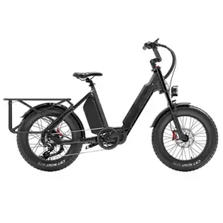 Pay Only €1799.00 For Bezior X500 Max Electric Cargo Bike, 750w Bafang Motor, Samsung 48v 37.5ah Removable Battery, 20*4.0 Inch Fat Tire, 48km/h Max Speed Up To 220km Range, Front Spring Fork Hydraulic Disc Brakes Shimano 7-speed With 60cm*20cm Large Heavy-duty Shelf With Th