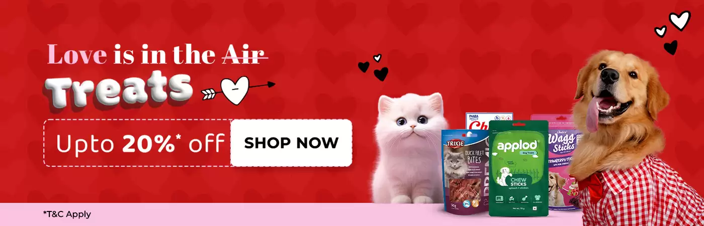 Take 20% Off On Pet Items At Zigly.Com Valentine's Day Sale page